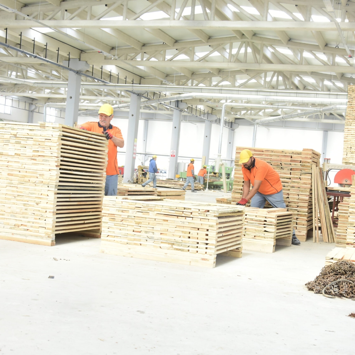 Orman Ürünleri Makine İmalat ve Montajları